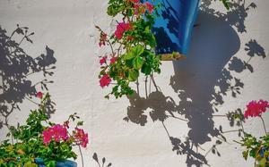 Imagen HEADER de fondo grande