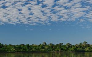 Imagen HEADER de fondo peque�a