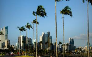 Imagen HEADER de fondo grande