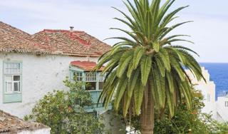 Santa Cruz de Tenerife