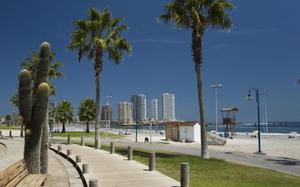iquique 4