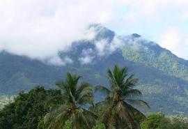Jarabacoa