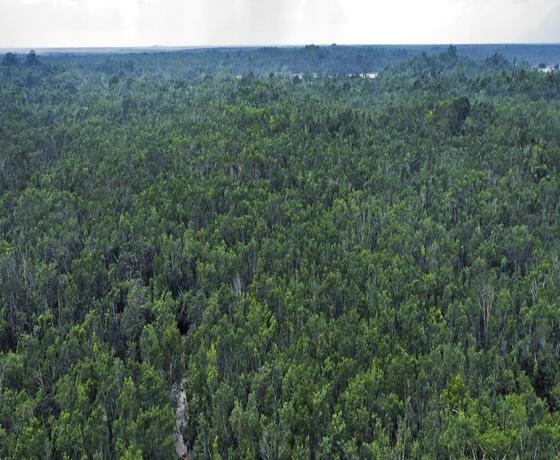 Foto destino