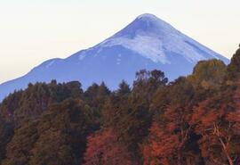 Osorno