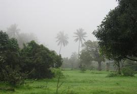 Salalah