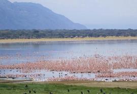 Mwanza