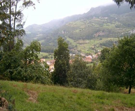 Foto destino