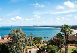 Punta Ballena