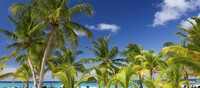 Punta Cana