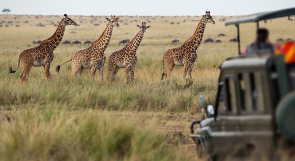 _Viajes_a Leyendas de Sud�frica