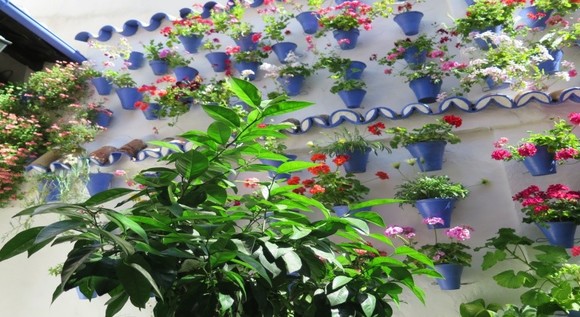 _Viajes_a Portugal y el Sur de Espa�a