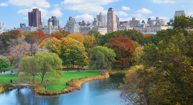 Nueva York a tu aire 4