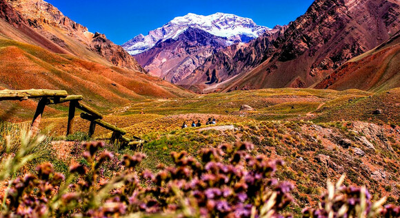 Mendoza a tu estilo