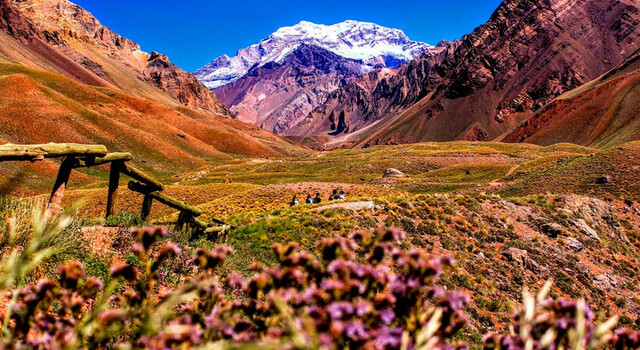Mendoza a tu estilo 2