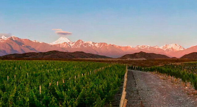 Mendoza a tu estilo 3