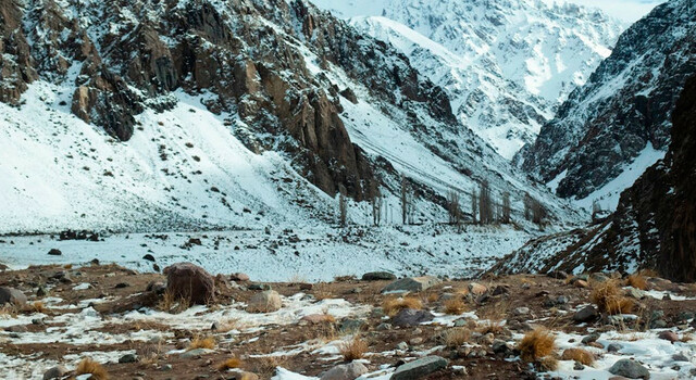 Mendoza a tu estilo 4