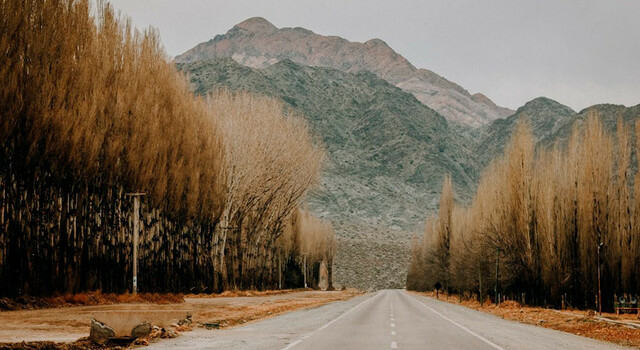 Mendoza a tu estilo 5