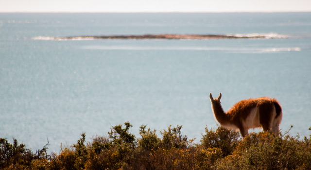 Anticip� tus feriados en Puerto Madryn 4