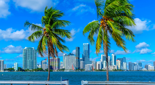 Miami 4
