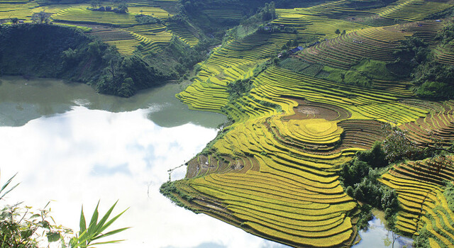 Vietnam cl�sico + pre ext SAPA 3D2N 5