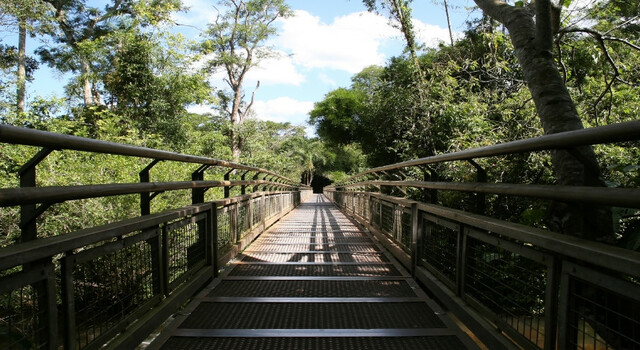 Cataratas del Iguaz� 3