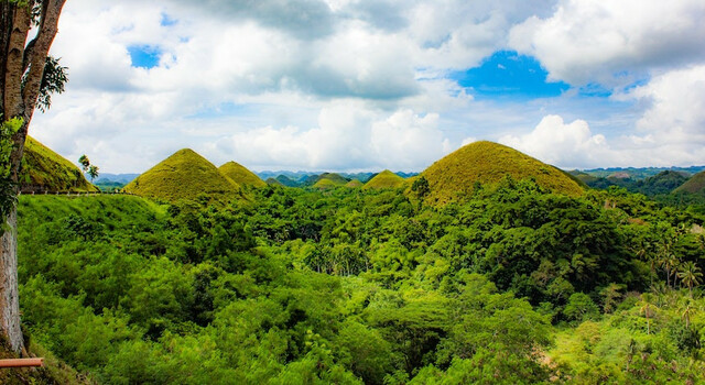 14 D�as en: Manila ? Puerto Princesa ? Port Barton - El Nido - Bohol - Camiguin 1