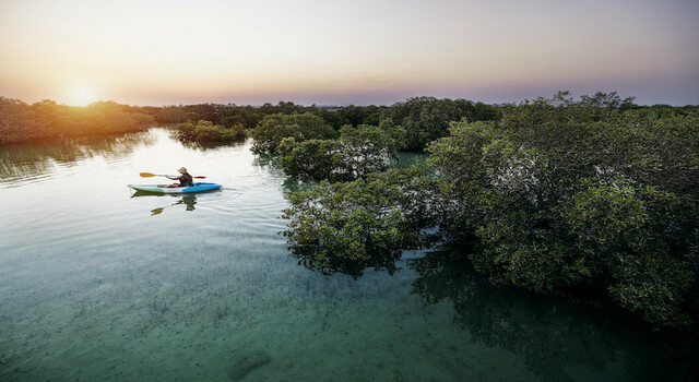 Abu Dhabi a tu aire 4