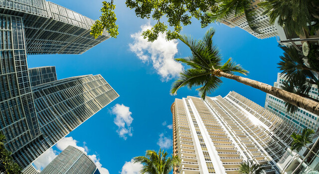 Miami a tu aire 3