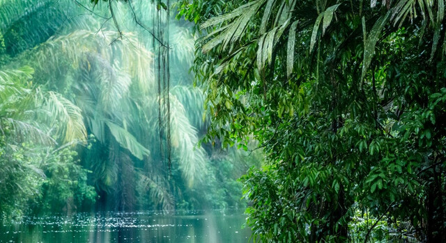 453622 Costa Rica Tropical 5 D�as, Escapada Corta 1
