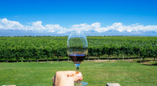 Mendoza  5
