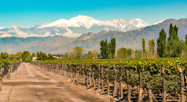Mendoza a tu aire 3
