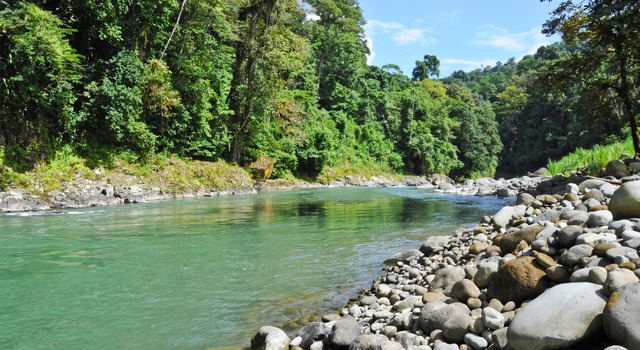 453614 Aventura Rom�ntica en Costa Rica 1