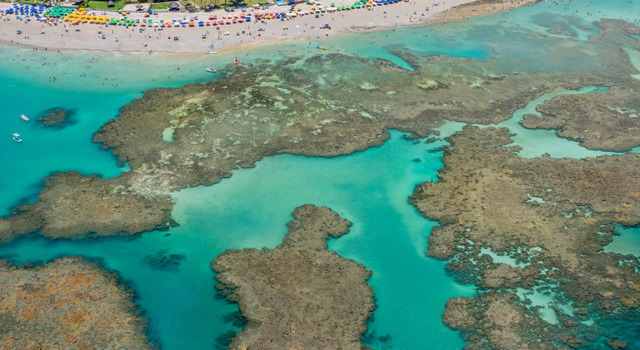 Porto Galinhas Dynamic 4