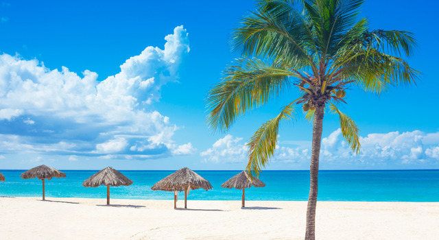 Curacao Dynamic 3