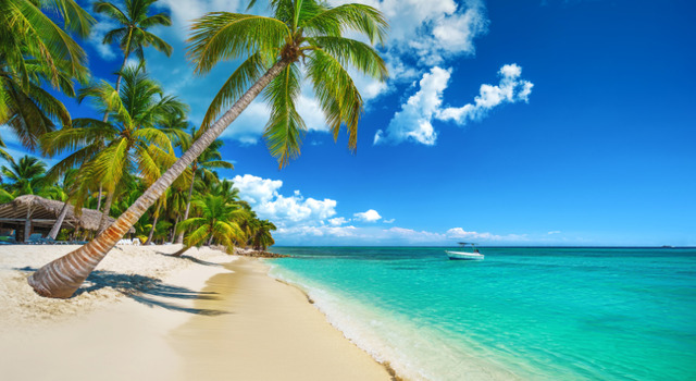 Punta Cana  1