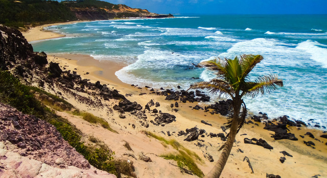 Praia da Pipa 2