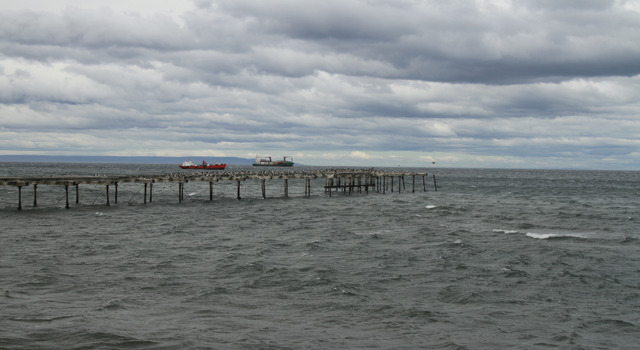 Punta Arenas 5