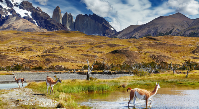 Torres del Paine a tu estilo 4