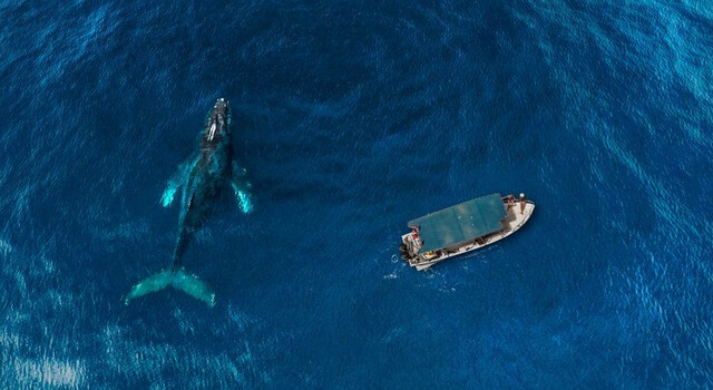 Los Cabos 5