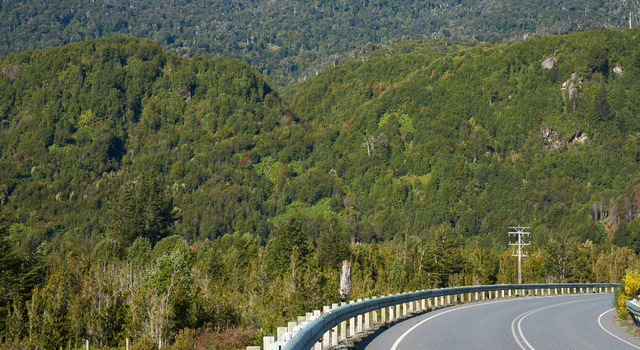 Viv� la Carretera Austral 4