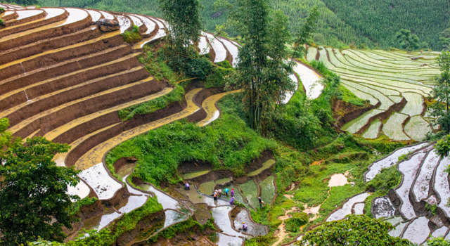Aut�ntico Vietnam y Camboya 3