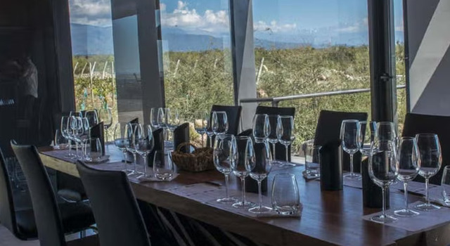 Bodegas del Valle de Uco, Mendoza 5