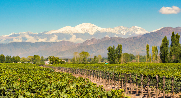 Mendoza desde lo m�s alto