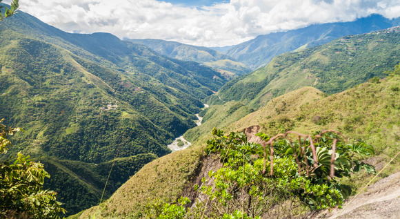 Descubr� las Yungas Tucumanas