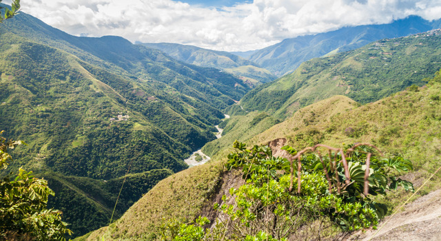 Tucum�n y Yungas 2