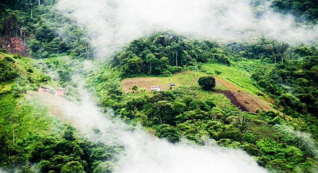 Tucum�n y Yungas 3