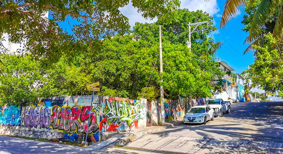 Cozumel, arrecife, arena y alma caribe�a