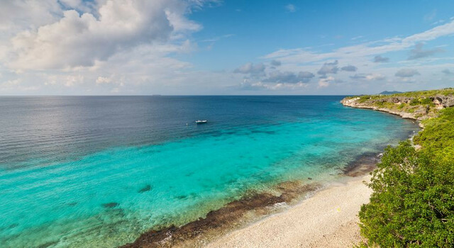 Bonaire, explor� arrecifes, viv� el mar 4