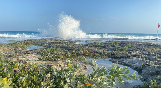 Tulum: �Mar turquesa y cultura maya! 5