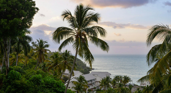 Descubr� Saman�, donde el mar abraza la selva 